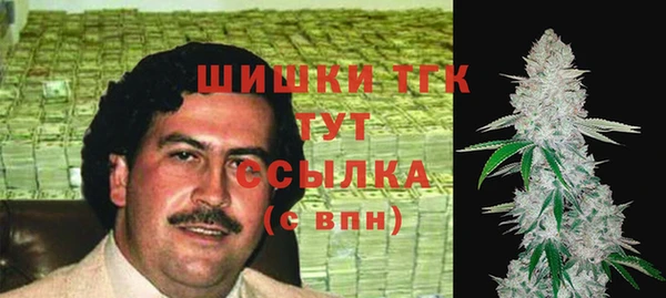 индика Лихославль
